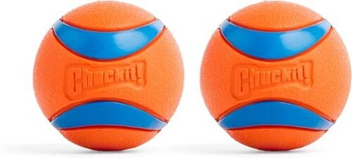 Chuckit! 17001 2.5-Inch Ultra Ball 2 Pack, Medium, Orange/Blue