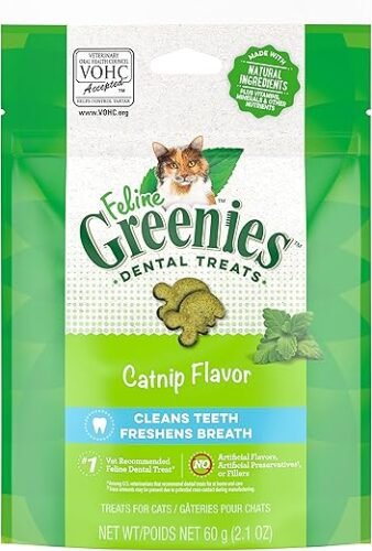 GREENIES Feline Dental Cat Treats Catnip Flavour 60g